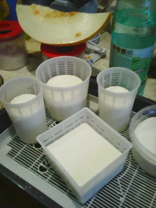 фотография продукта Молоко от нубийских коз 